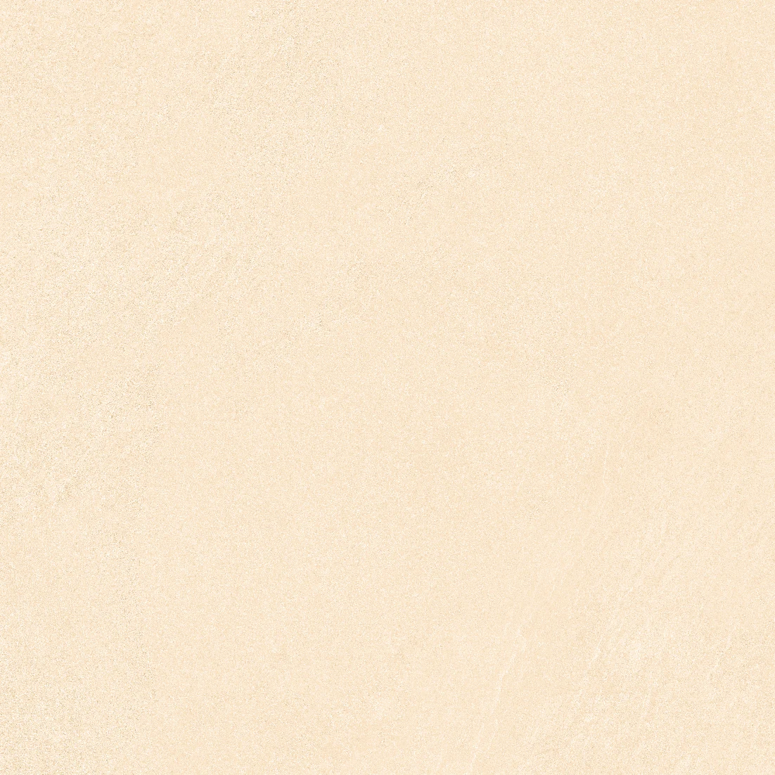 face 6
